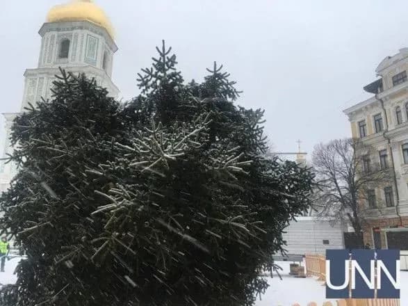 Головну новорічну ялинку країни готують до встановлення