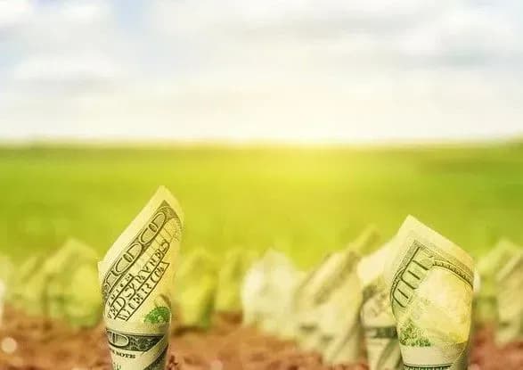 Рада продовжила мораторій на продаж землі до 1 січня 2019 року