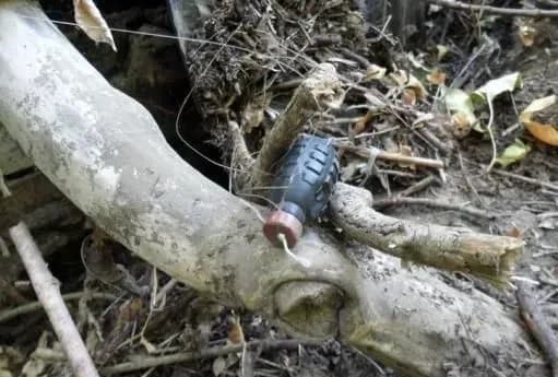 У "сірій зоні" на Луганщині чоловік підірвався на розтяжці