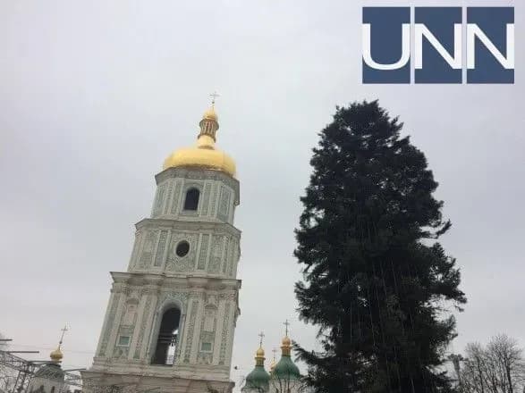 Головну ялинку країни майже встановили