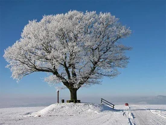 Сьогодні в Україні очікується морозна погода