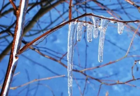 Сьогоднішня ніч у Києві стала найтеплішою з 1881 року