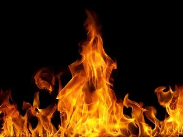 У Грузії згорів пасажирський автобус рейсу Азербайджан - Туреччина