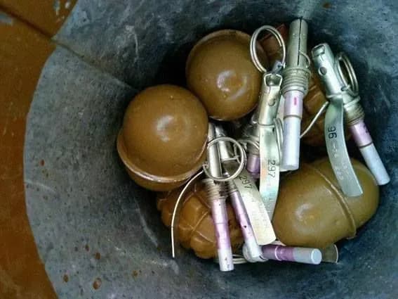 На Донеччині в лісосмузі чоловік знайшов 22 гранати