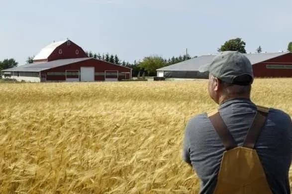 Американские фермеры ежегодно получают 25 млрд долл. бюджетных дотаций