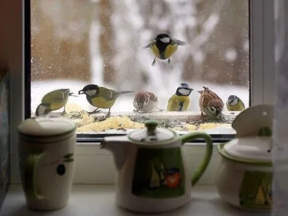 Завтра в Україні опадів не буде