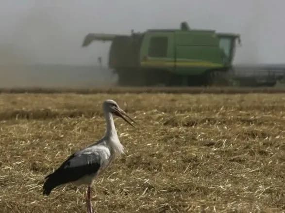 Провали коаліційної угоди: агрополітика