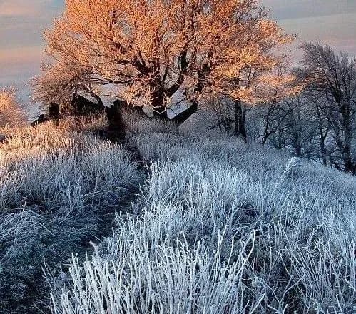 Сьогодні на більшості території України опади не очікуються, на дорогах місцями ожеледиця