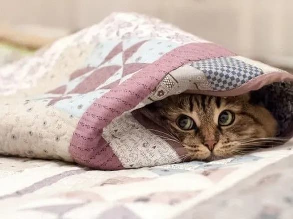 Кияни збільшили борги за тепло