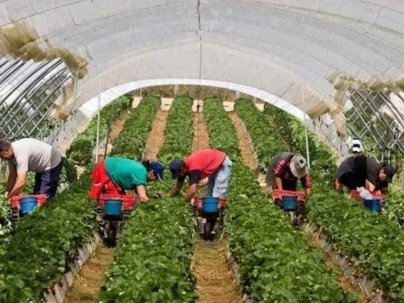 Трудова міграції до Польщі посилиться - НБУ