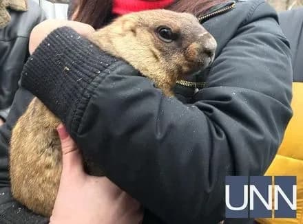 Бабак Тимко навіщував початок весни через шість тижнів