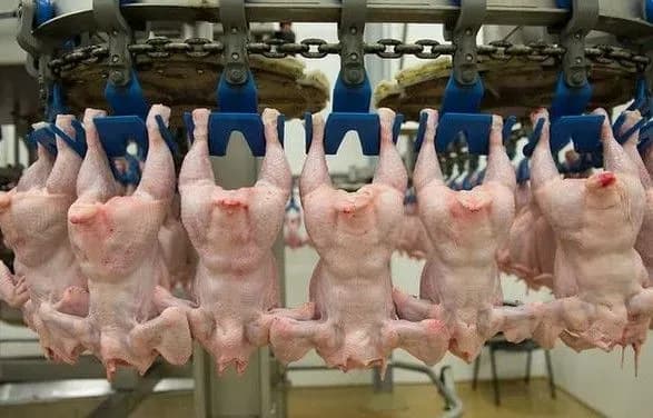 Світове виробництво м'яса бройлерів продовжує зростати