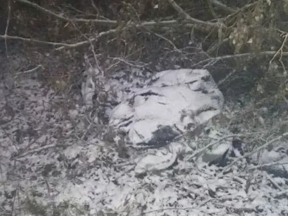 Заробітчанин на Закарпатті забив до смерті місцевого мешканця