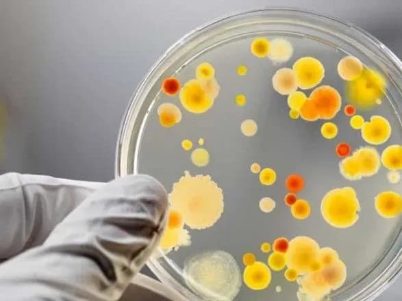 З італійського кафе до лікарні: в Одеській області 9 осіб захворіли на сальмонельоз