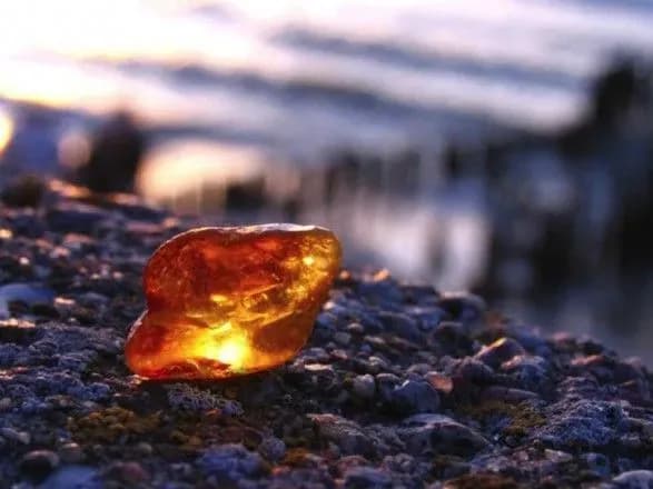 Турок намагався вивезти теплоходом понад 20 кг бурштину