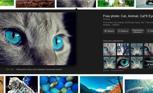 Google прибрав кнопку "Відкрити у повному розмірі" в пошуковику