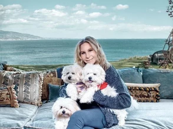 Барбара Стрейзанд двічі клонувала свою собаку