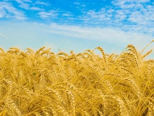 Заступниці мера Дніпра запропонували звільнитися через висловлювання про статус української мови