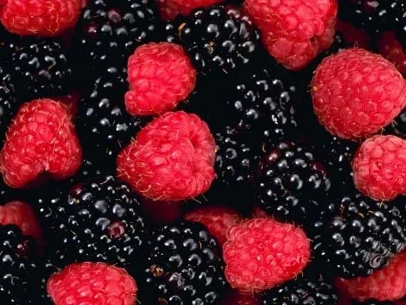 Експорт малини та ожини зріс на 72%: найбільше ягід купила Польща
