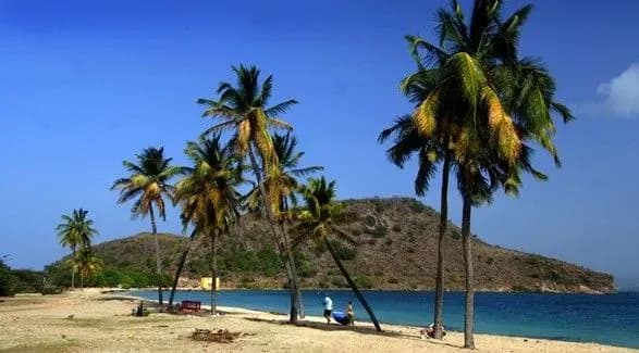 Ірландський пенсіонер поїде на Кариби після виграшу в лотерею