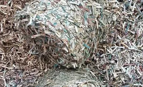 Нацбанк торік знищив банкнот на понад 48 млрд гривень