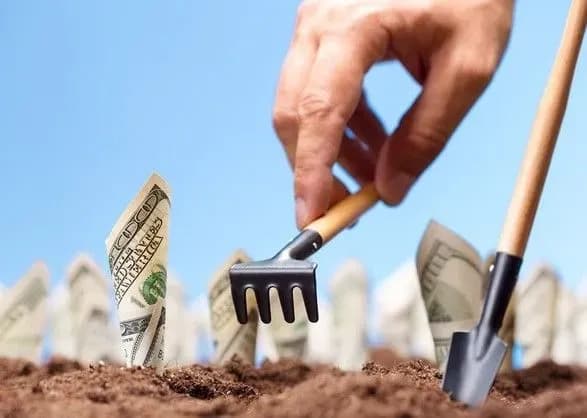 У ФАО пояснили, чому аграрні дотації дісталися не всім