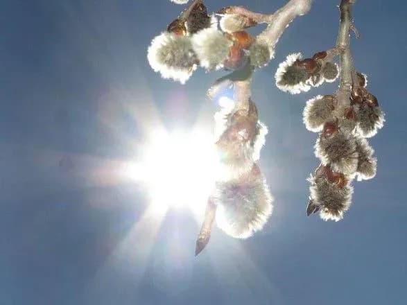 До Києва на вихідних прийшла метеорологічна весна