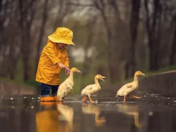 В Україну йде потепління