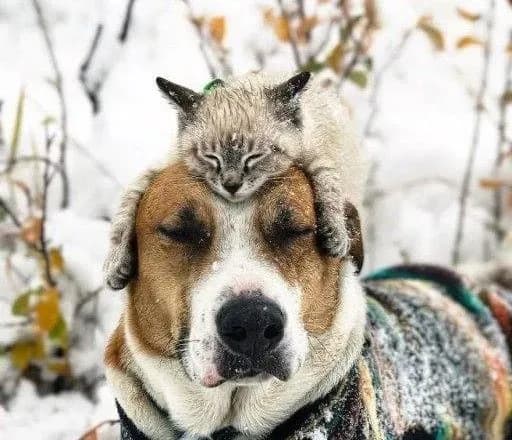 Сьогодні в Україні очікується потепління