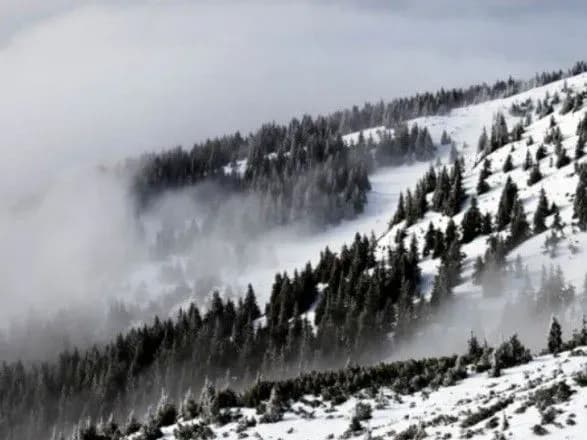 Українців попередили про небезпеку сходження лавин у Карпатах