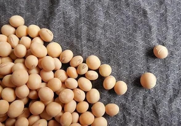 У Мінагро підтримали вимоги аграріїв скасувати "соєві правки"