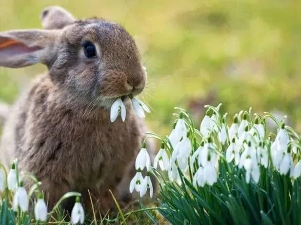 Завтра в Україні очікується до 24 градусів тепла