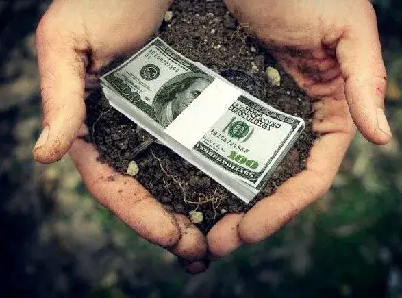 У ДФС розповіли про податкові злочини в агросфері