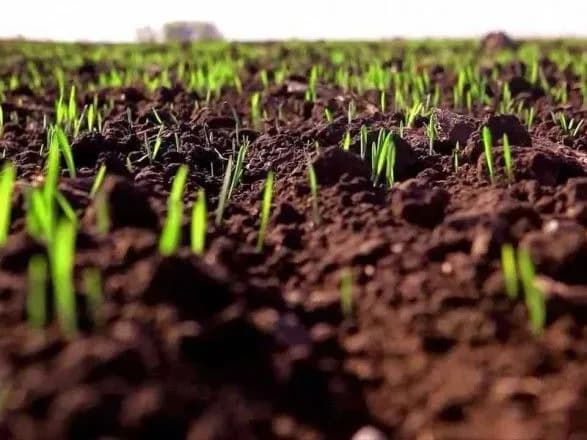 Аграрії вже посіяли майже 940 тис. га ярих зернових