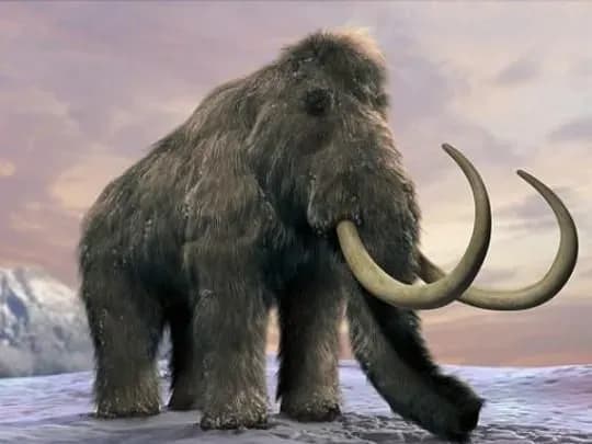 У США почали процес "клонування" мамонта