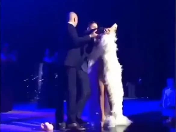 На Ані Лорак під час концерту у Росії накинувся шанувальник