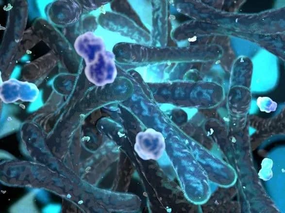 В клетках человека нашли новую структуру ДНК