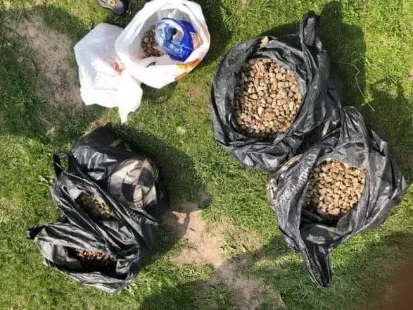 На Волині СБУ вилучила у контрабандистів бурштину на 200 тис. гривень