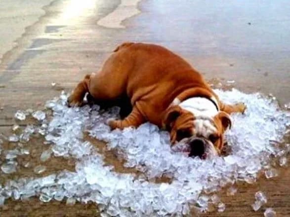 Найспекотніша в Європі: в Україні завтра очікують до +30