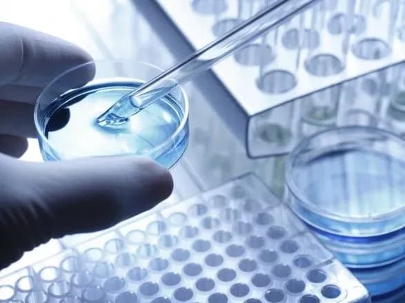 Тело умершего подозреваемого в криворожском ДТП направили на судмедэкспертизу