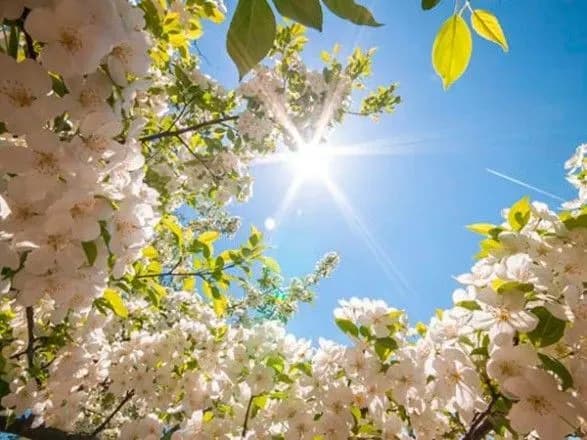 Сьогодні в Україні очікується зниження температури повітря