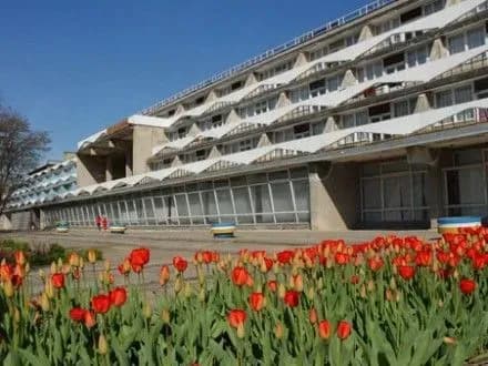 На відпочинок дітей-пільговиків в "Артеку" та "Молодій гвардії" виділили майже 200 млн грн