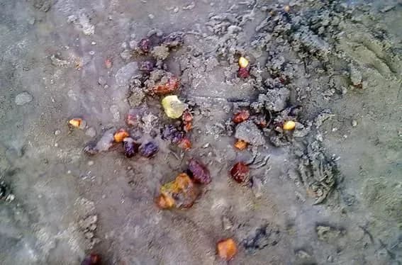 На Волині викрито підпільний цех з обробки бурштину