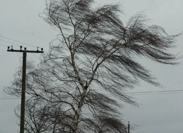 Синоптики попередили про грози та шквали в Україні