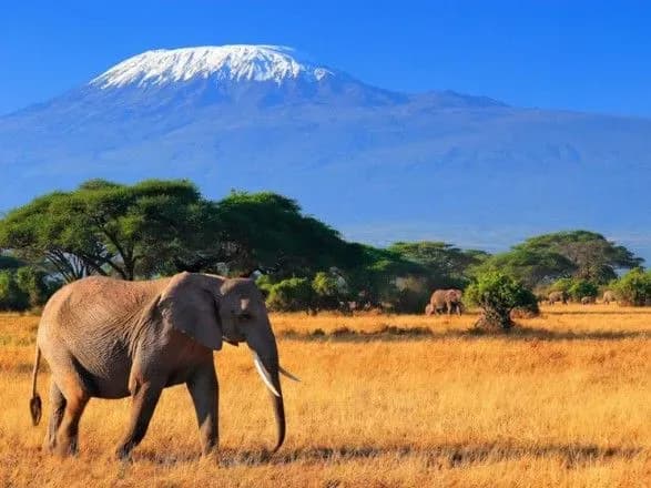 Глава МИД Украины впервые в истории прибыл с визитом в Кению