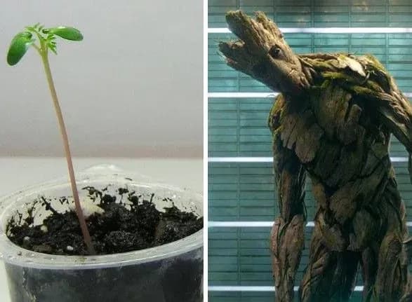 "Маленький" всесвіт Marvel: як виглядали супергерої у дитинстві