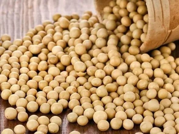 “Поправки Хомутинніка”: ВР відновила відшкодування ПДВ експортерам сої та ріпаку, але не всім