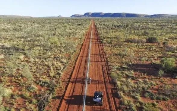 Кенгуру в Австралії загрожує небезпека