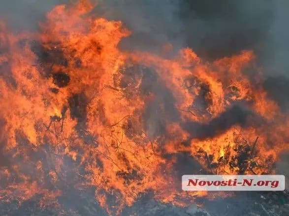 У Миколаєві горить головне міське звалище