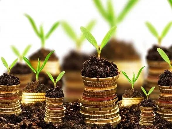 Ефективну практику дотування АПК потрібно розширювати на інші сфери - експерт